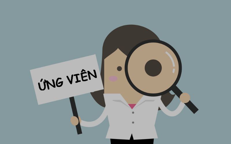 Ứng viên cần đáp ứng yêu cầu gì khi tuyển dụng Wordpress